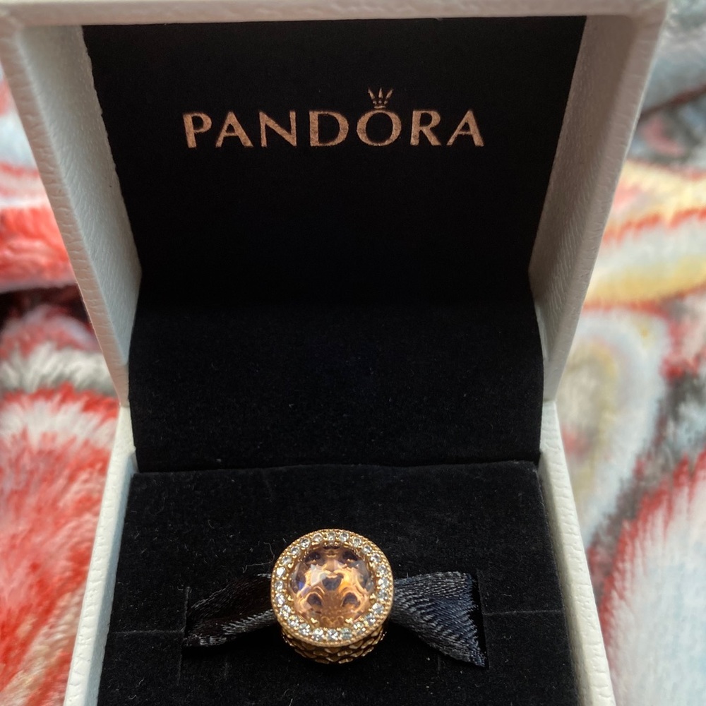 Pandora charm ONLY